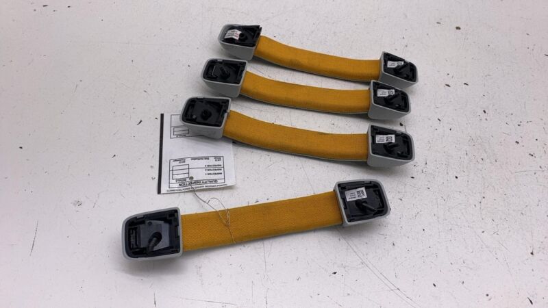 Does not apply 2022 2023 2024 Rivian R1T Set of 4 Roof Headliner Grab Grip Handle OEM
