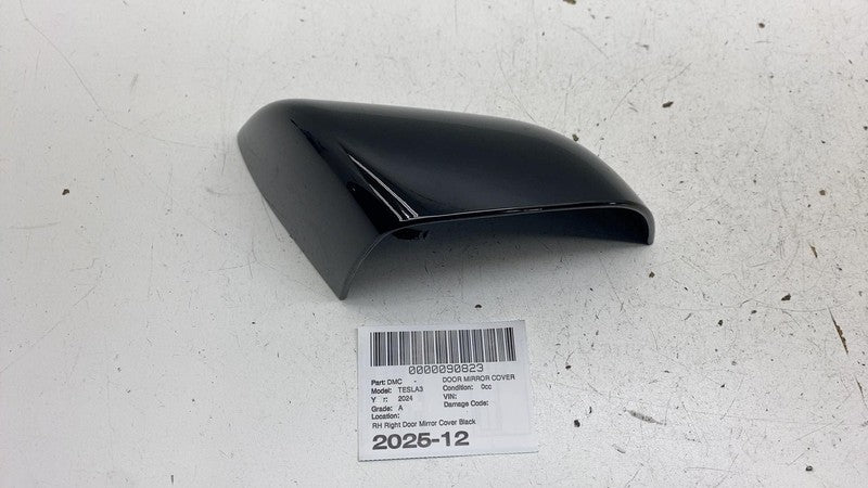 ⭕ 2017-2025 Model 3 Right Door Mirror Cover Skull Cap RH Black PBSB 10