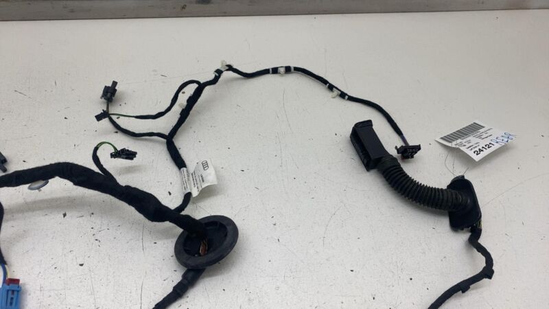 4KE 971 697 N ⭕2019-2023 Audi E-Tron Rear Left Driver Side Door Wire Wiring Harness 4KE971697N
