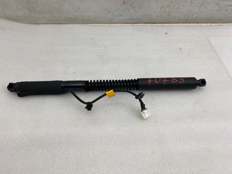 106344001F ⭕ 16-25 Model X Front Left/Rear Right Primary Door Lift Shock Strut 1063440-01-F