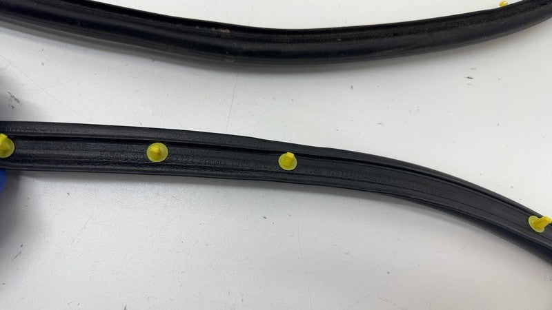 LJ8B-R20530 ⭕ 2021 2022 2023 2024 Ford Mustang Mach-E Front Door Weatherstrip Seal OEM