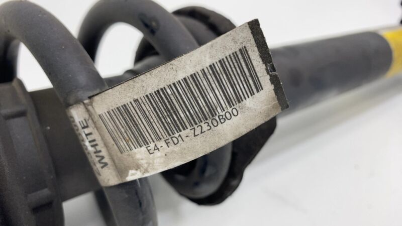 F4-BE5-I718-W1 2012-2020 Tesla Model S Front Left=Right Shock Strut Absorber & Coil Spring AWD