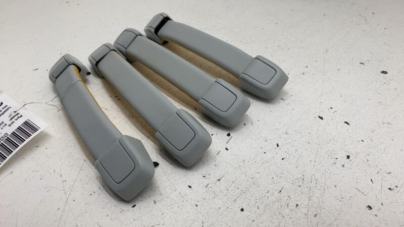 2022 2023 2024 Rivian R1T Set of 4 Roof Headliner Grab Grip Handle OEM