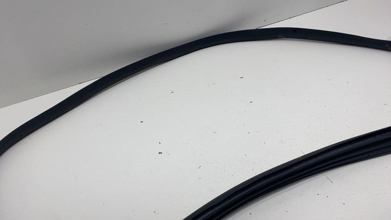 191098300E ⭕ 24-25 Model 3 Front Left Primary Body Weatherstrip Rubber Seal LH 1910983-00-E