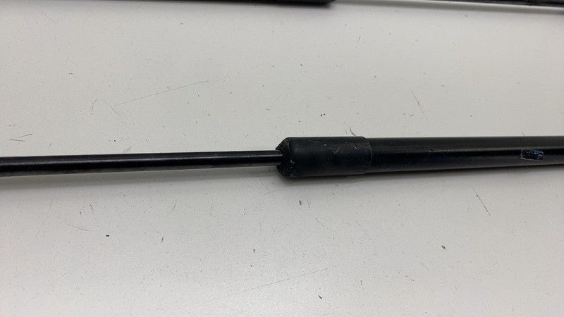 AM51 R406A10 BA 2013-2018 Ford C-Max PAIR of Rear Trunk Hatch Liftgate Gas Spring Lift Support