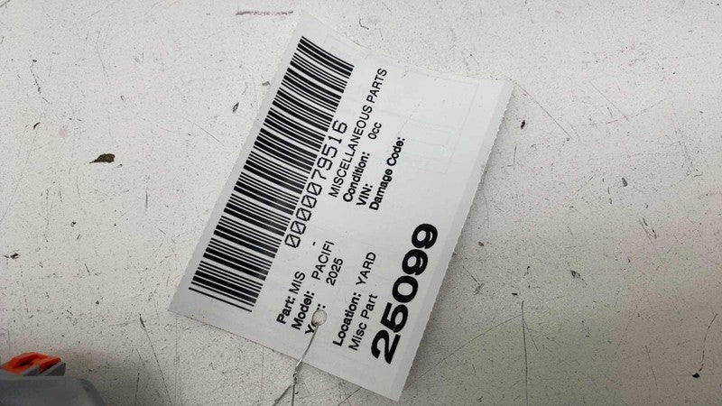 5RL24TRM AD ⭕ 2020-2025 Chrysler Pacifica Dash Speedometer Cluster Bezel Trim OEM 5RL24TRMAD