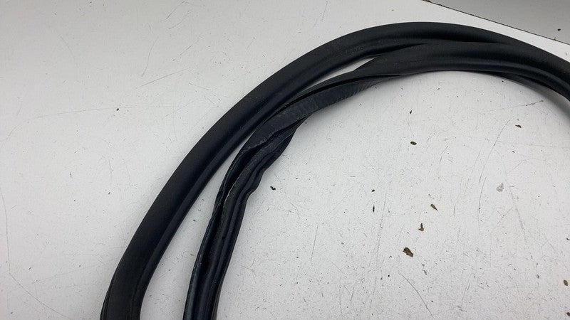 ⭕ 2017-2023 BMW 540i Front Driver Side Door Body Weatherstrip Rubber S