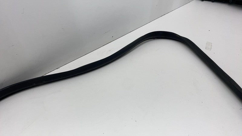 2017-2023 Tesla Model 3 Front Passenger Door Primary Weatherstrip Seal Right RH