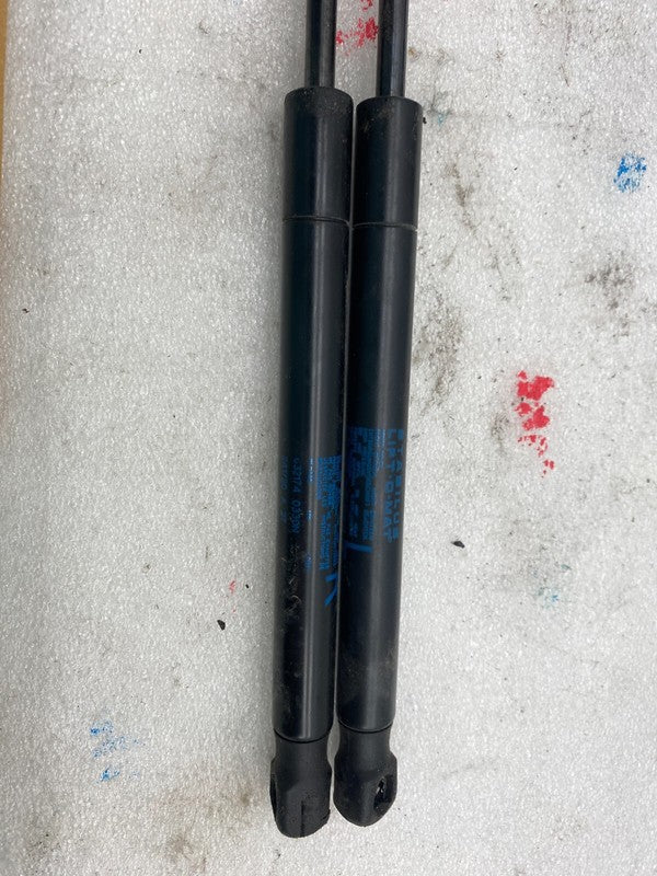103387900B ⭕16-23 Model X PAIR Front Left and Right Bonnet Hood Lift Gas Strut 1033879-00-B
