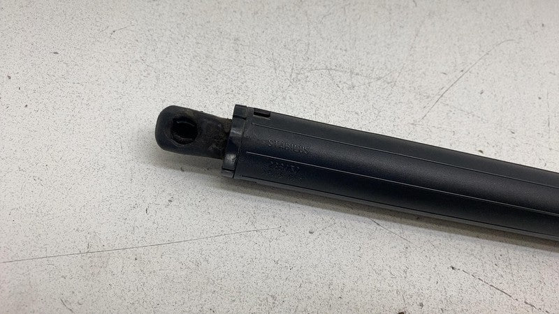 ⭕ 2012-2024 Tesla Model S Rear Left Liftgate Trunk Spring Strut LH 600
