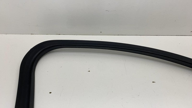 LJ8B-R201A19-A ⭕ 2021-2024 Ford Mustang Mach-E Front Left Door Window Frame Trim LJ8B-R201A19-A