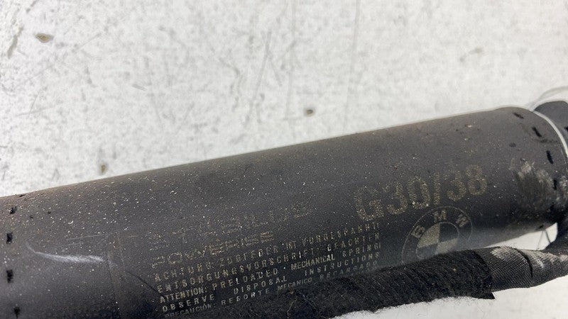 8737952 2018 2019 2020 BMW 530e G30 Trunk LID Shock Strut Support SET of 2 8737952