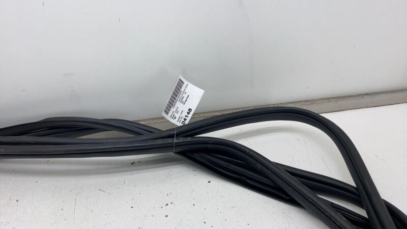 2022-2024 Kia EV6 Front & Rear Left & Right Door Body Weatherstrip Rubber Seal
