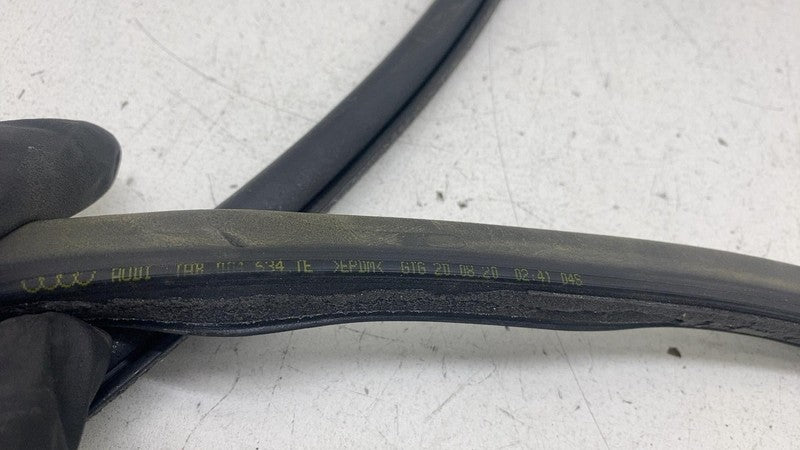 ⭕ 2019-2023 Audi E-Tron Front Left Driver Side Door Body Weatherstrip Seal OEM