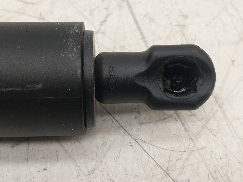 ⭕ 2020-2024 Tesla Model Y Rear Passenger Side Liftgate Strut Right 150