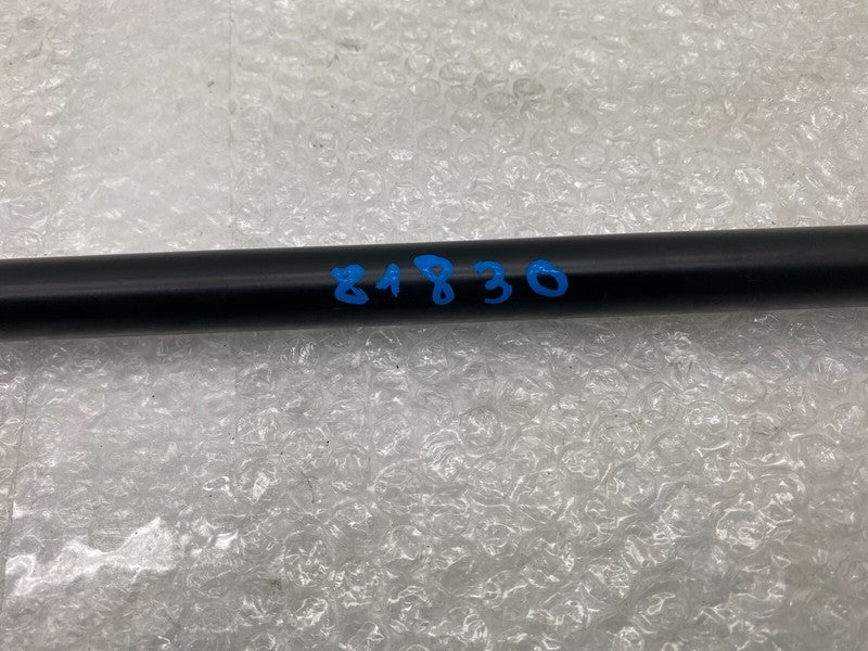 6006608 ⭕ 2012-2020 Tesla Model S Rear Left Tailgate Trunk Liftgate Gas Strut LH 6006608
