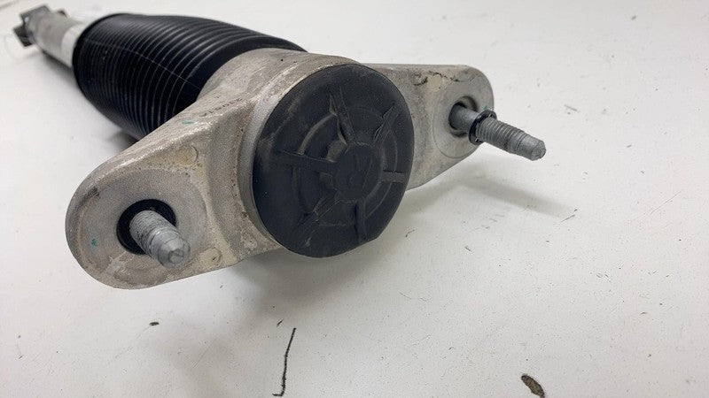 ⭕ 18-23 Model 3 Rear Left or Right Shock Strut Absorber Damper RWD 104