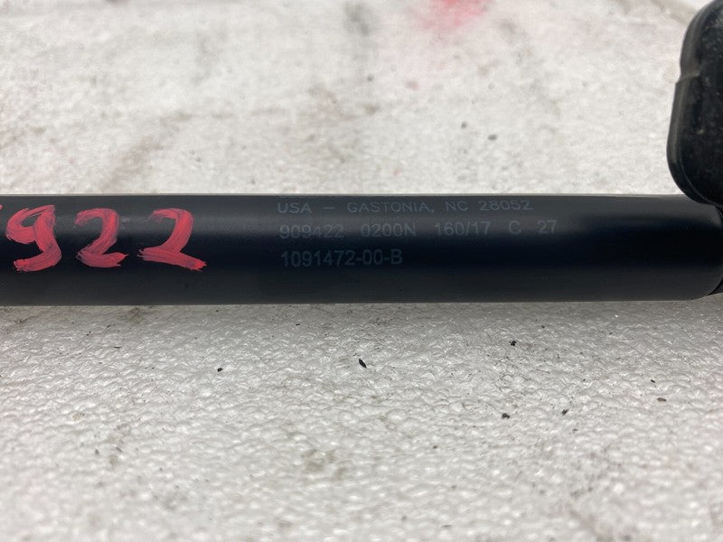 1091472 00 B 17-23 Model 3 Front Left/Right Bonnet Hood Shock Strut Lift Support 1091472-00-B