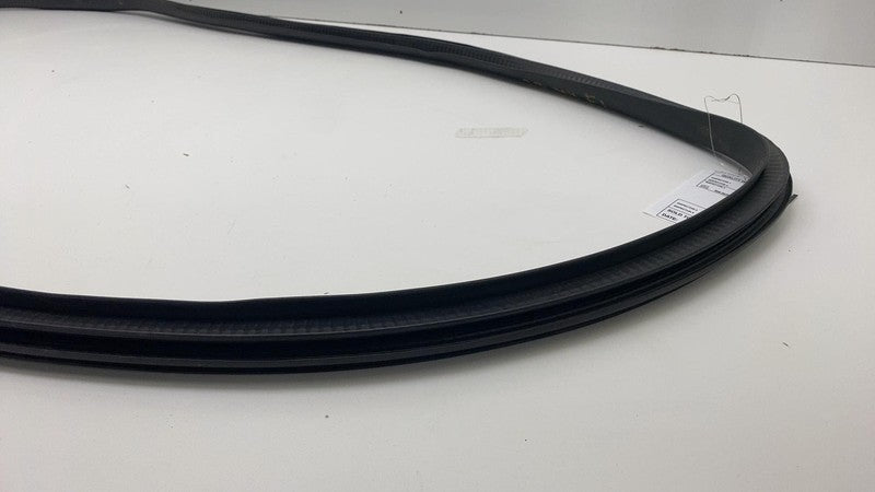 2020-2023 Tesla Model Y MY Front Driver Left Door Body Weatherstrip Rubber Seal
