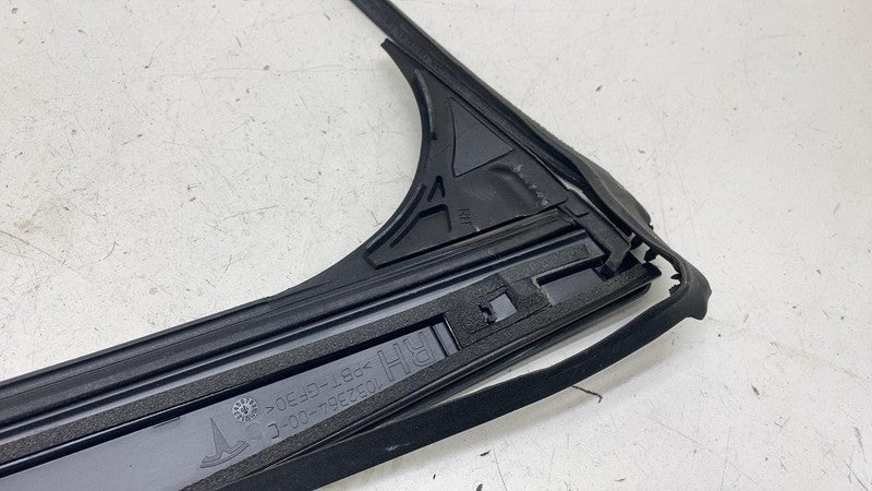 103236400C ⭕ 2016-2020 Tesla Model X Right B-Pillar Applique Glass w/ Seal RH 1032364-00-C