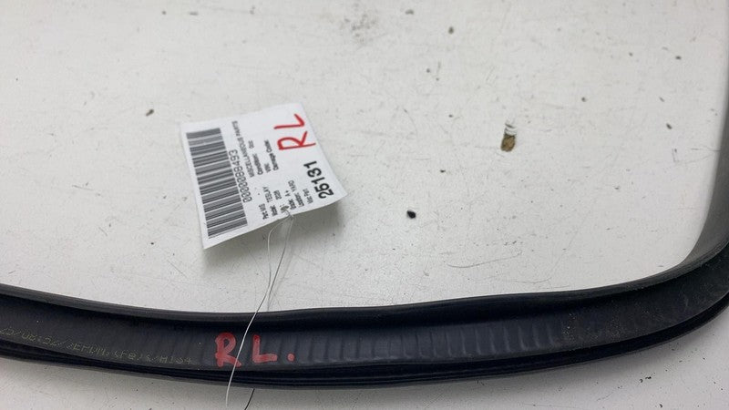 ⭕ 20-26 Tesla Model Y Rear Door Body Weatherstrip Rubber Seal Left 199
