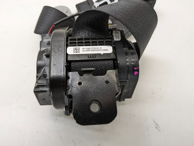 1081279 01 F ⭕ 2017-2023 Tesla Model 3 Front 1st Row Seat Belt & Retractor Right 1081279-01-F