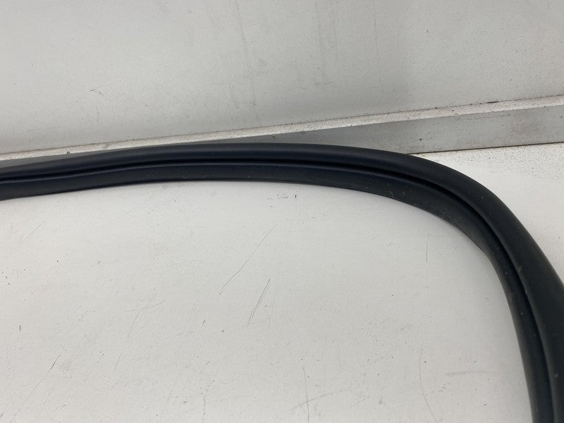 ⭕ 22-24 Hyundai Ioniq 5 Rear Passenger Side Door Weatherstrip Rubber Seal Right