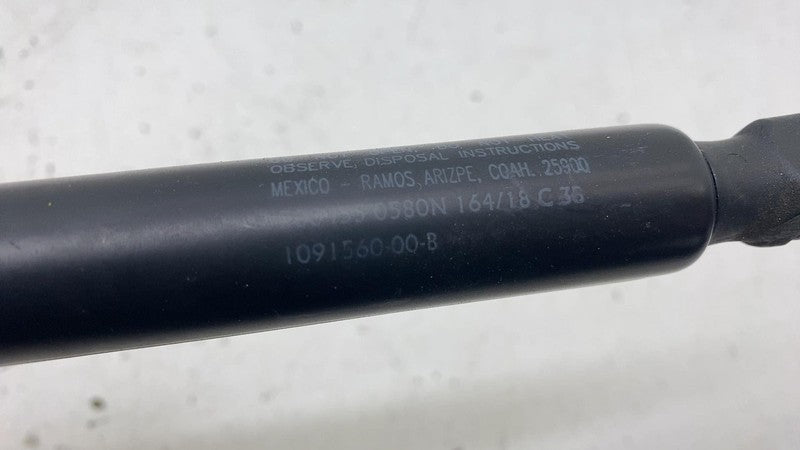 1091560 00 B 2017-2020 Tesla Model 3 M3 Rear Left or Right Trunk Lid Gas Strut (Non-Powered)