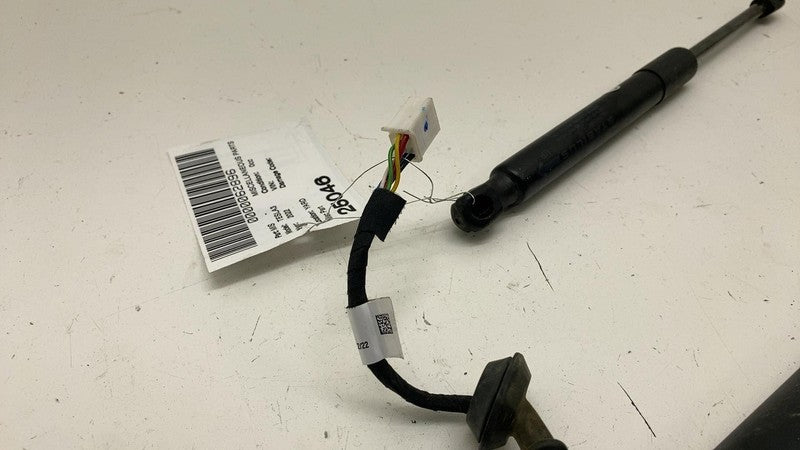 155148900B ⭕ 2017-2023 Model 3 M3 PAIR of Rear Trunk Lid Tailgate Shock Struts 1551489-00-B