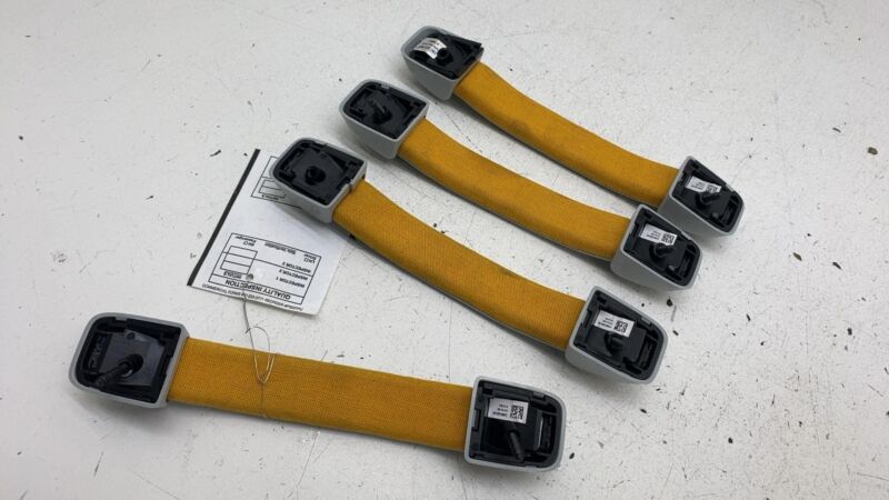 Does not apply 2022 2023 2024 Rivian R1T Set of 4 Roof Headliner Grab Grip Handle OEM
