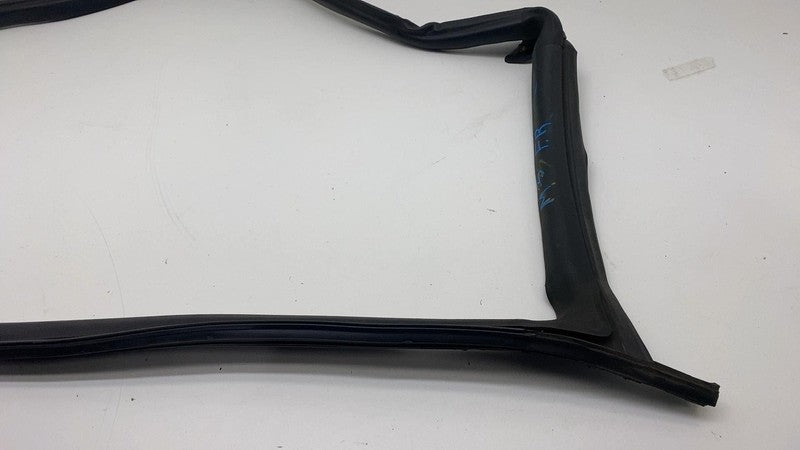 2017-2023 Tesla Model 3 Front Passenger Door Primary Weatherstrip Seal Right RH