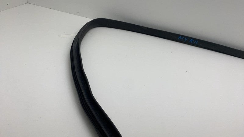 2020-2023 Tesla Model Y Rear Passenger Right Door Body Weatherstrip Rubber Seal