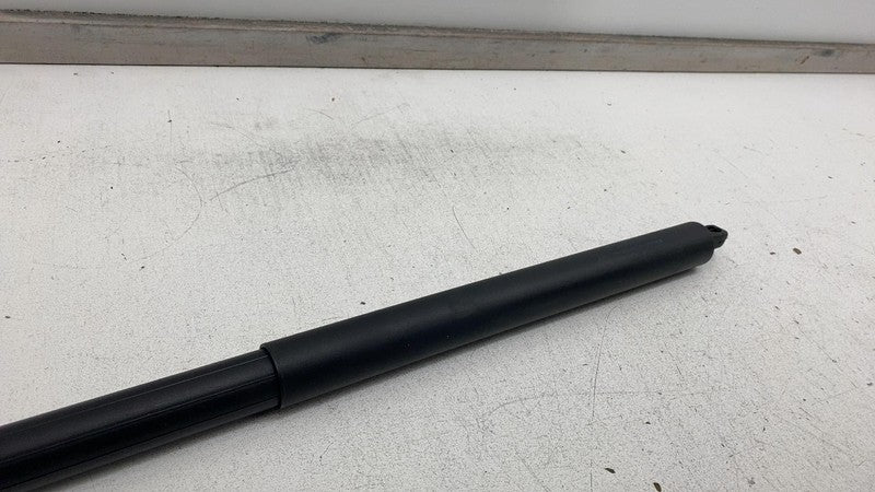 ⭕ 2012-2024 Tesla Model S Rear Left Liftgate Trunk Spring Strut LH 600