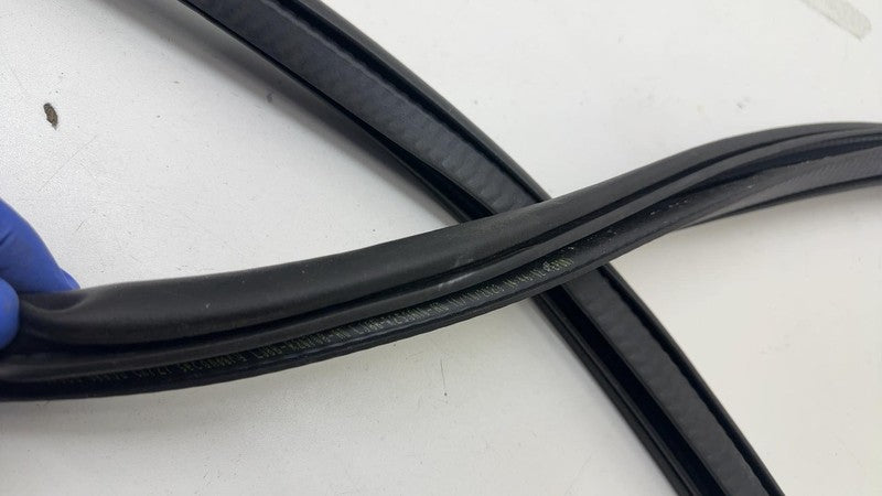 ⭕ 21-24 Mustang Mach-E Front Passenger Right Door Body Weatherstrip Rubber Seal