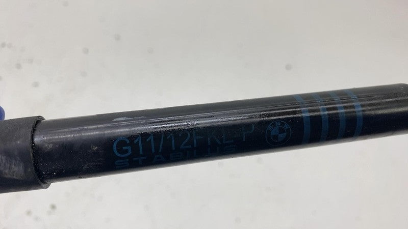 2017-2023 BMW 530e G30 Front Hood Lift Support Shock Strut Cylinder OEM