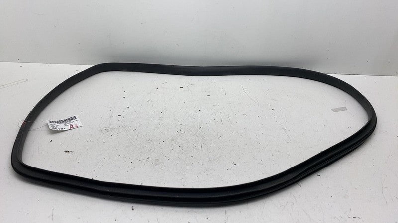 ⭕ 20-26 Tesla Model Y Rear Door Body Weatherstrip Rubber Seal Left 199