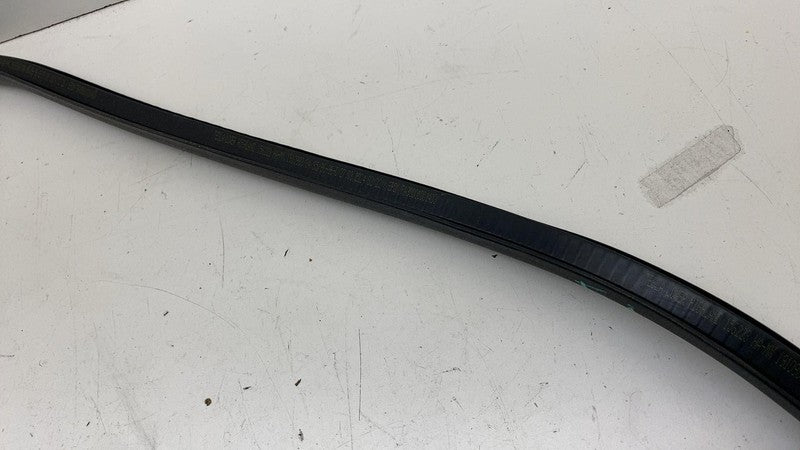 1910983-00-C ⭕ 24-25 Model 3 Front Left Primary Body Weatherstrip Rubber Seal LH 1910983-00-C