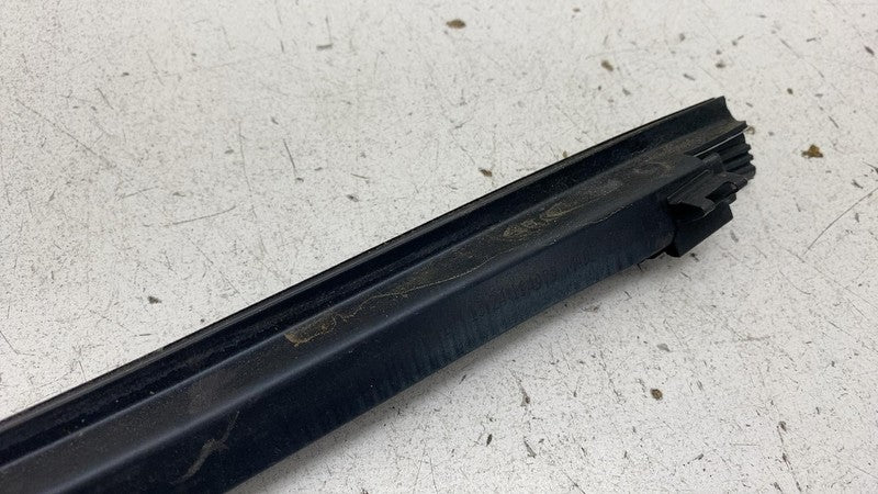 ⭕ 2012-2020 Tesla Model S MS Rear Left Door Window Inner Belt Weathers