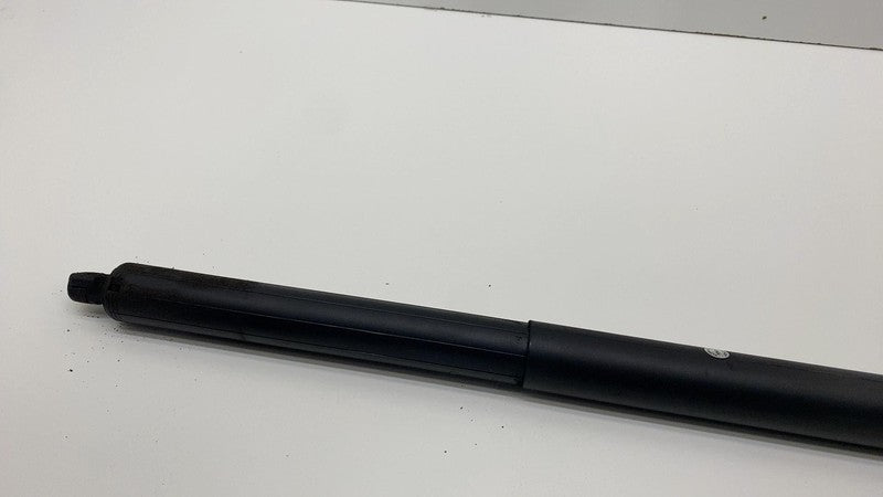 6006610 00 B 2012-2020 Tesla Model S Rear Passenger Liftgate Trunk Power Shock Strut Right RH