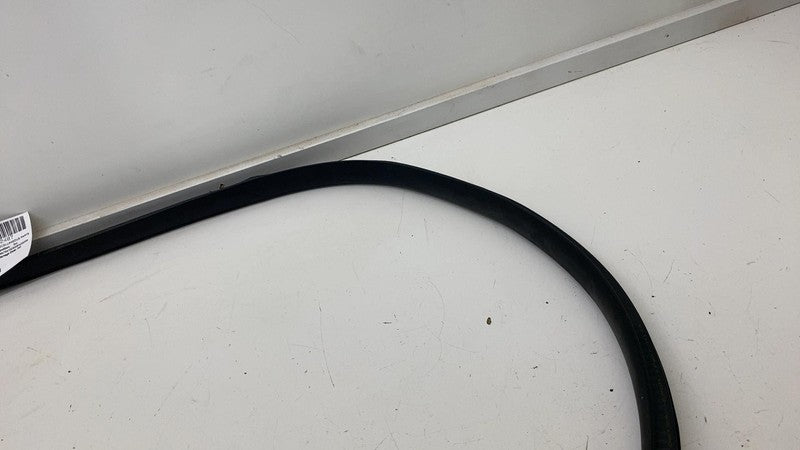 ⭕ 2020-2023 Tesla Model Y Front Driver Left Door Body Weatherstrip Rub