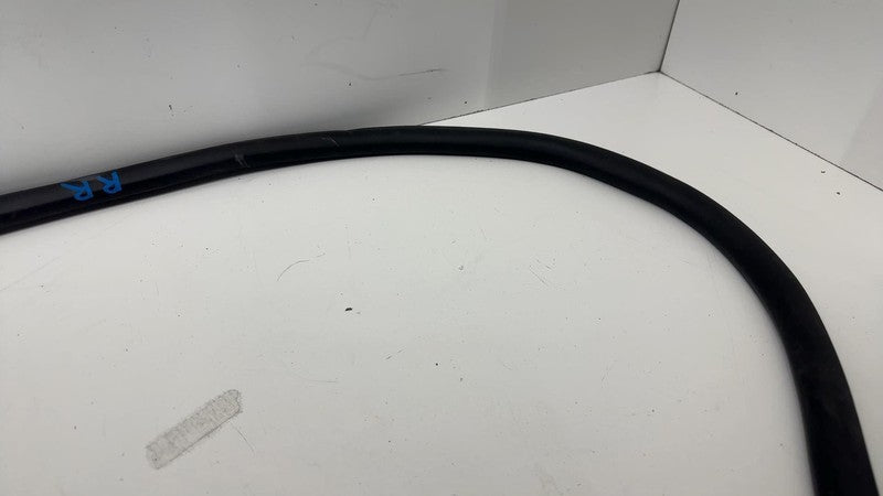 ⭕ 21-24 Mustang Mach-E Rear Passenger Right Door Body Weatherstrip Rubber Seal