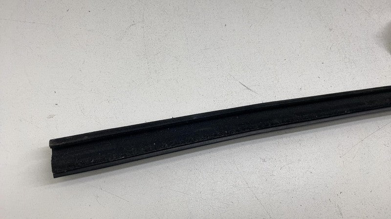 ⭕ 2012-2020 Tesla Model S MS Rear Left Door Window Inner Belt Weathers