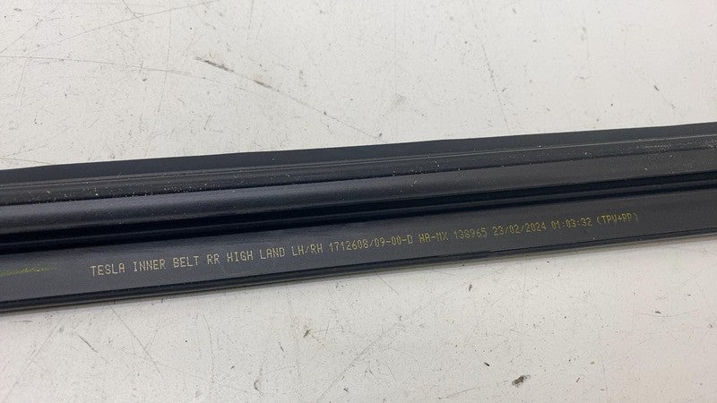 171260800D ⭕ 24-25 Model 3 Rear Driver Left Door Inner Belt Weatherstrip Seal 1712608-00-D