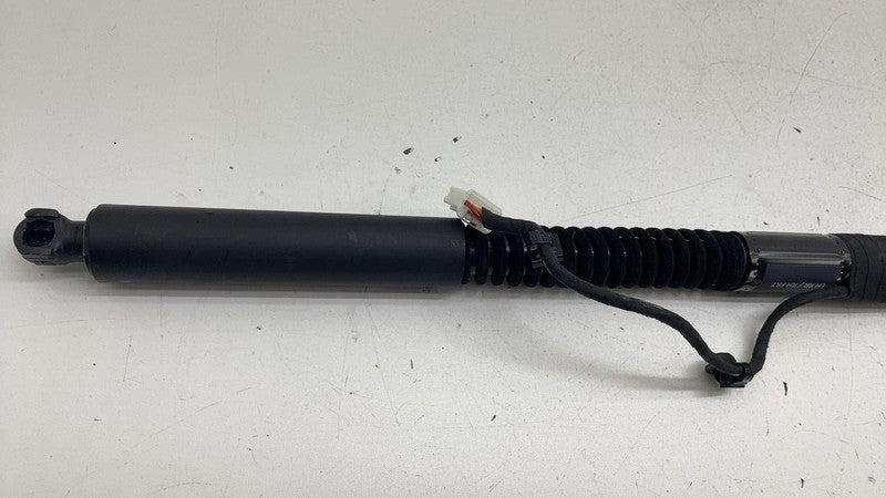 ⭕ 16-23 Model X Rear Left / Front Right Primary Door Lift Gas Strut 10