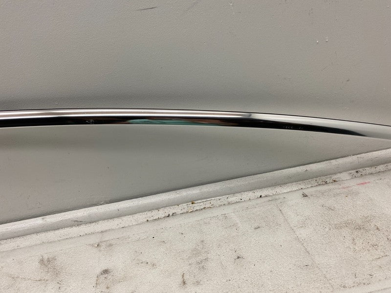 ⭕ 2017-2020 Tesla Model 3 Driver Side Upper Bright Trim Mold Roof Molding Left
