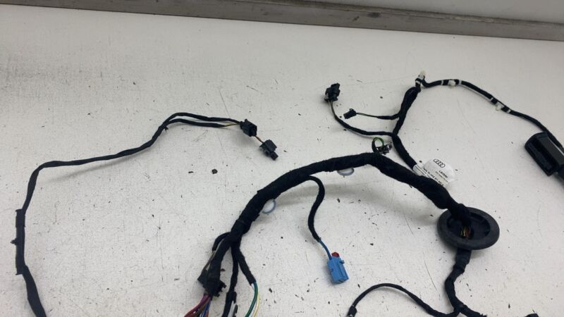 4KE 971 697 N ⭕2019-2023 Audi E-Tron Rear Left Driver Side Door Wire Wiring Harness 4KE971697N