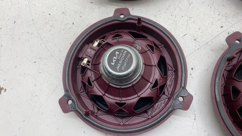 2022 2023 2024 Kia EV6 Set of Door Audio Sound Speaker Assembly (4x) 9
