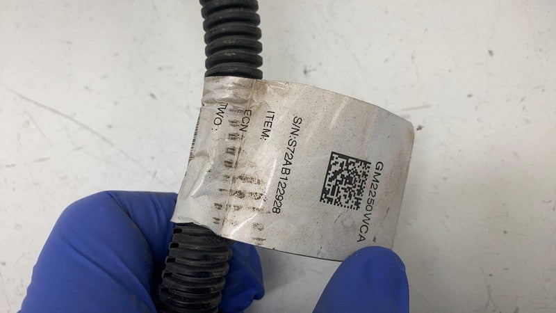 ⭕ 2023-2025 Chevy Silverado 1500 Bumper Tag Light License Wire Harness