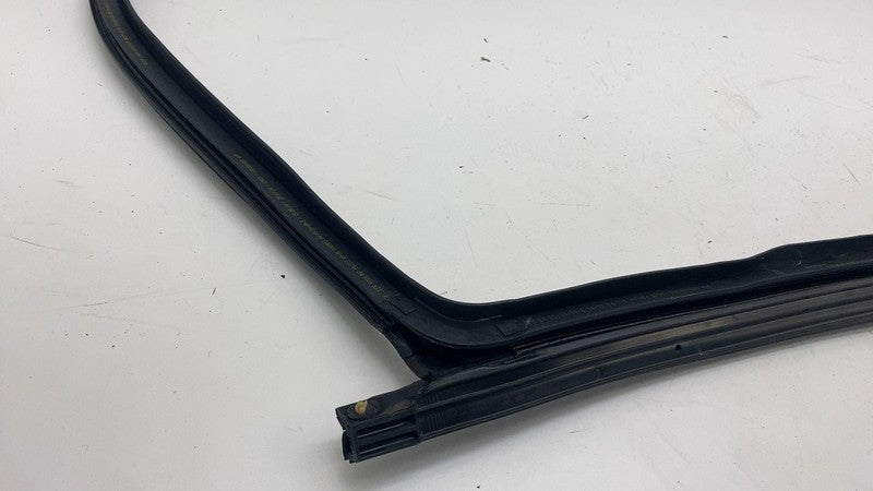 191098500E ⭕ 24-25 Tesla Model 3 Rear Side Left Door Primary Weatherstrip Seal 1910985-00-E
