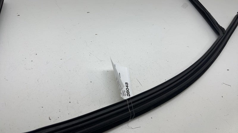LJ8BR21510AH ⭕ 21-24 Mustang Mach-E Front Right Window Glass Run Channel Seal LJ8B-R21510-AH